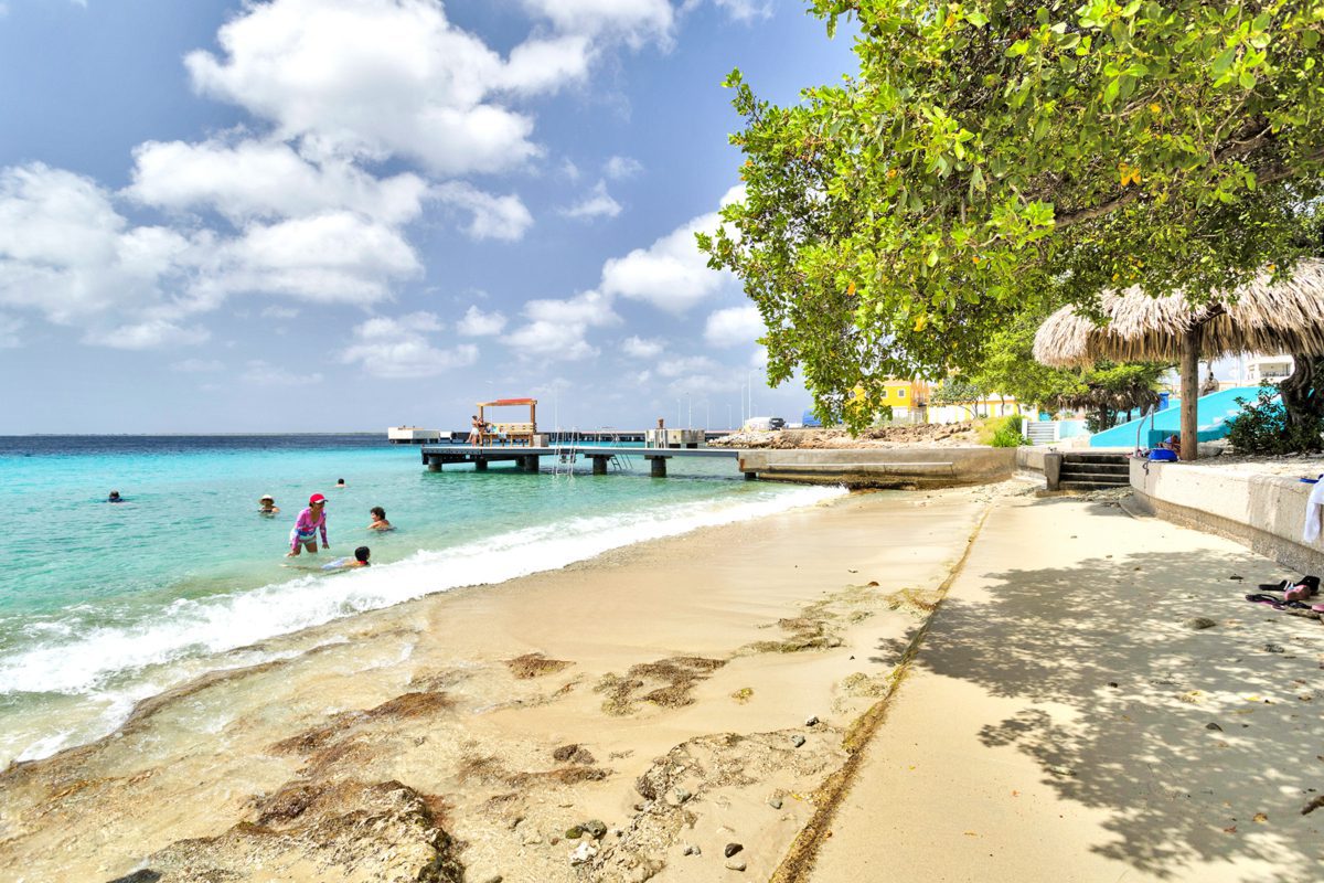 Chachacha Ocean View – 2SK – 2bad